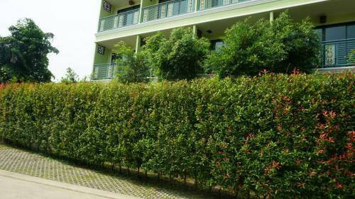 Garden Corner Resort & Hotel