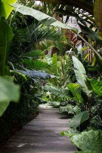 Hotel The Asa Maia - Adults Only Resort