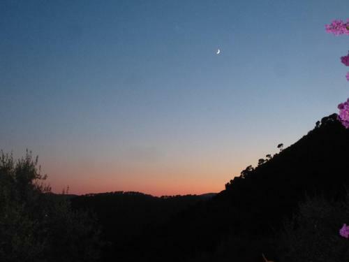 Bed & Breakfast L'origane
