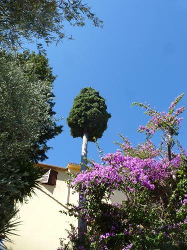 Bed & Breakfast L'origane