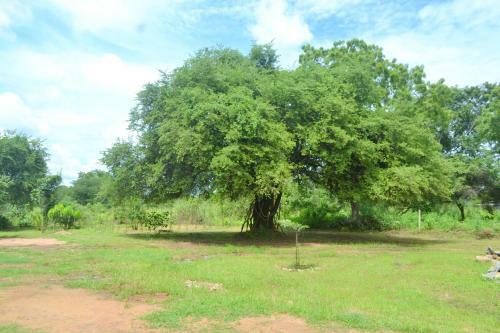 Hostal Dilsara Holiday Resort
