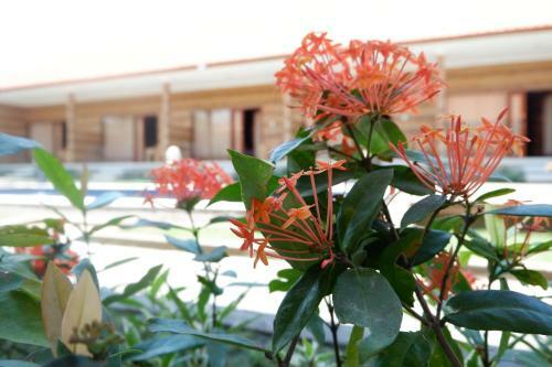 Manik Homestay