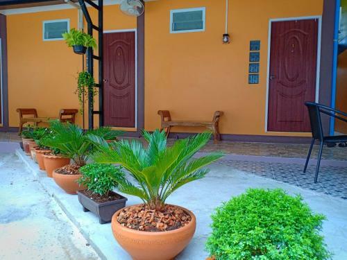 Hotel Siri Guesthouse