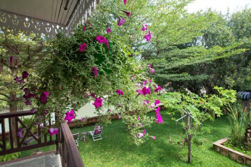 Hostal Phuttal Residence