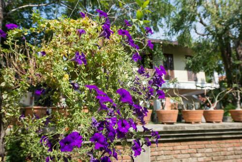 Hostal Phuttal Residence