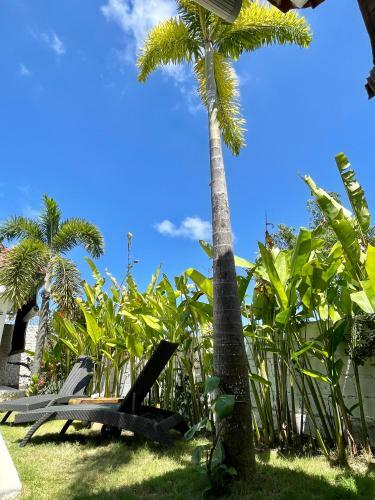 Bed & Breakfast La Kreyiol