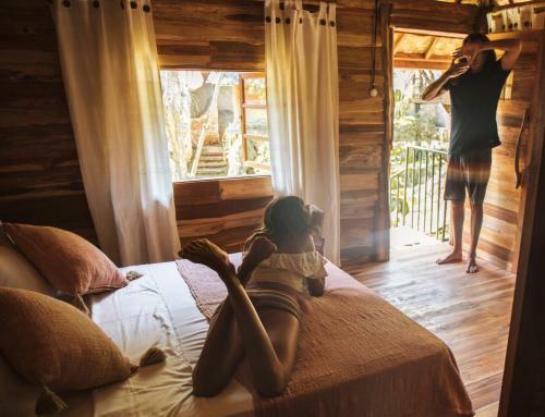 Lodge Roots Tree House