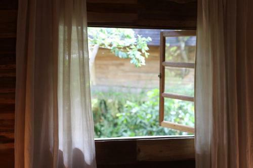 Lodge Roots Tree House