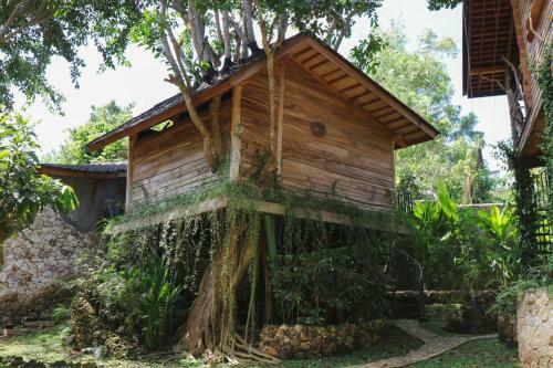 Lodge Roots Tree House