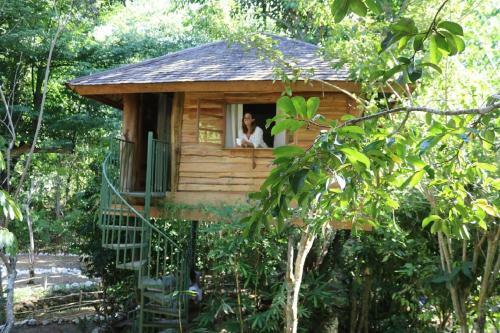 Lodge Roots Tree House