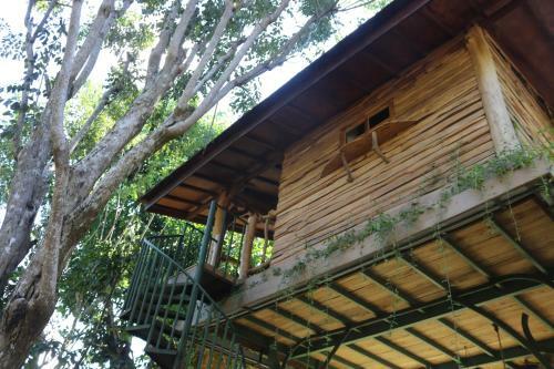 Lodge Roots Tree House