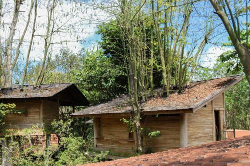 Lodge Roots Tree House
