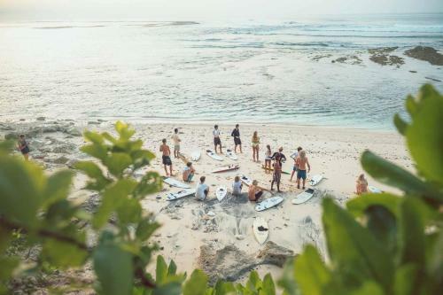 Hotel Rapture Surfcamps Green Bowl