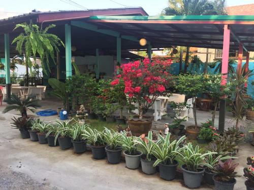 Hostal Bannrommai Sattahip