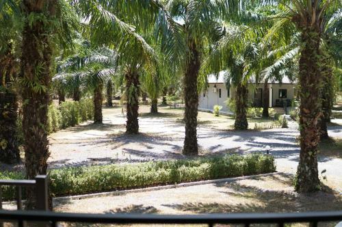Hotel Palm Scenery Resort