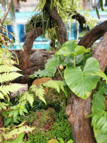 Hotel Uthaithani Resort