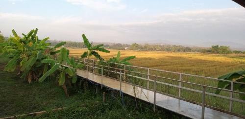 Baanlungchuhomestay