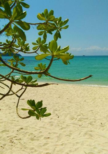 Goodview Kohkood