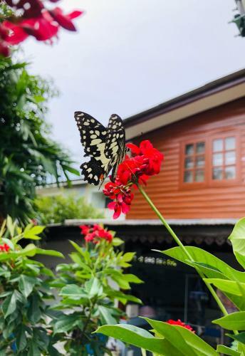 Hostal Banthai Guesthouse