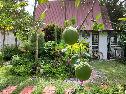 Village Homestay