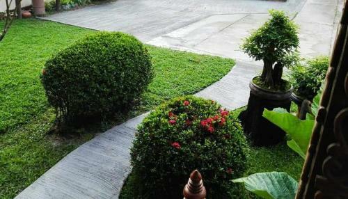 Hotel Thai Guest House