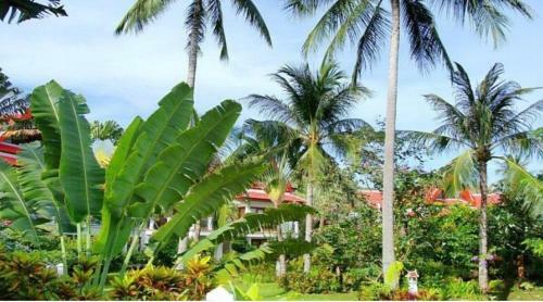 Royal Living Koh Samui - Terrace With Jacuzzi - Villa 7
