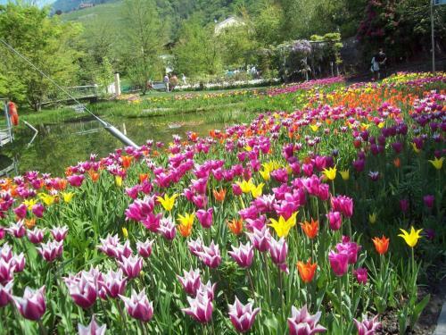 Agroturismo Lindenhof