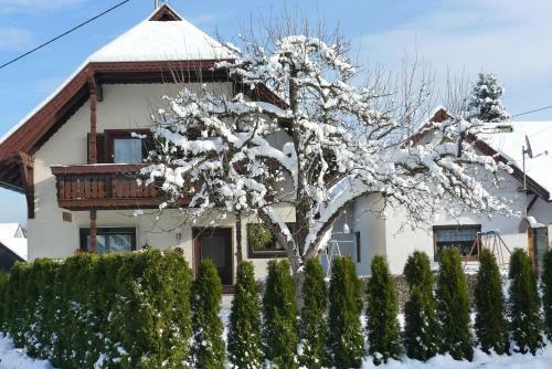Apartamento Ferienwohnung Kusternik