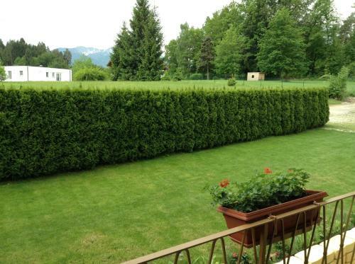Posada G�stehaus Renate