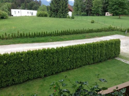 Posada G�stehaus Renate