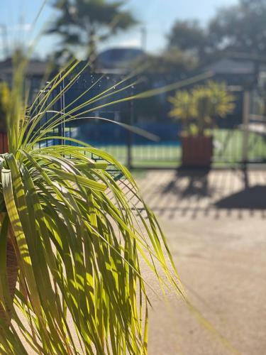 Hotel All Settlers Motor Inn Parkes