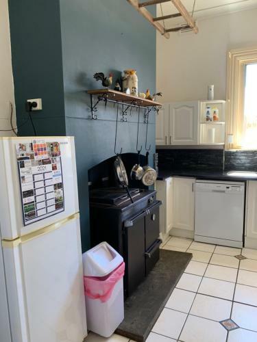 Central Tranquility On Summer