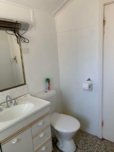 Central Tranquility On Summer