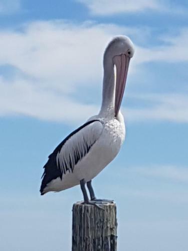 Trading Places Kangaroo Island