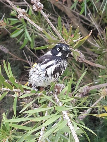 Trading Places Kangaroo Island
