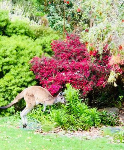 Pemberton Forest View Retreat