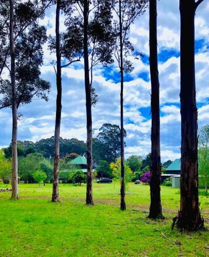 Pemberton Forest View Retreat