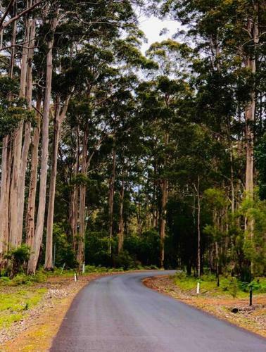 Pemberton Forest View Retreat
