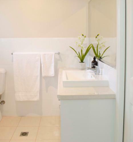 Apartamento Bartletts Corner A Private And Peaceful Studio