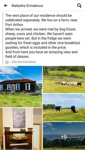 Agroturismo Ruby's Cottage