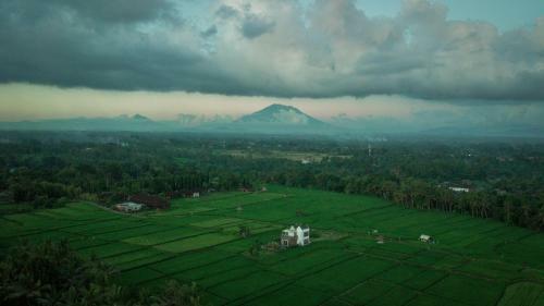 Bed & Breakfast Casa Avana