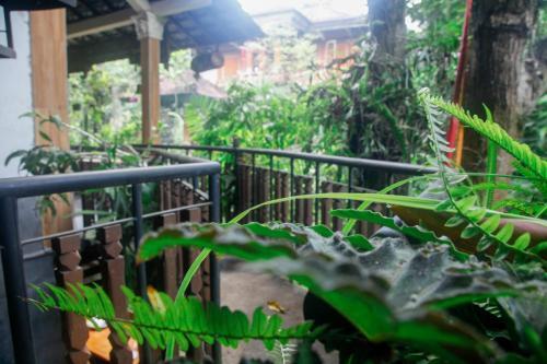Lodge Pondok Legon House