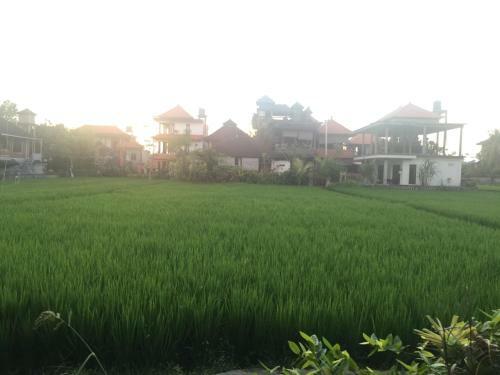 Depong Homestay