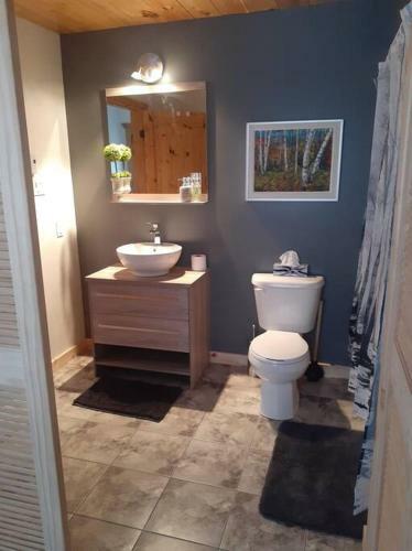 Apartamento Chalet de L'ours & Spa Citq 303216