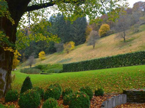 Luxurious Mill In Vresse-sur-semois With Swimming Pool