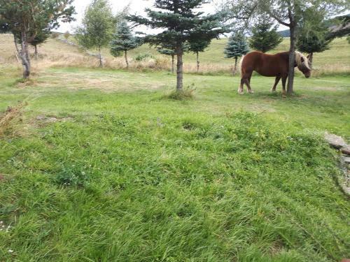 Bed & Breakfast Le Francillon