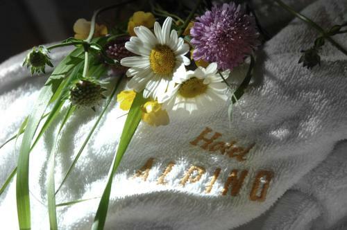 Hotel Alpino