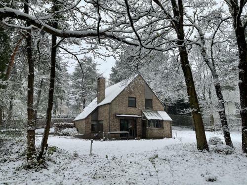 Sterrenheide
