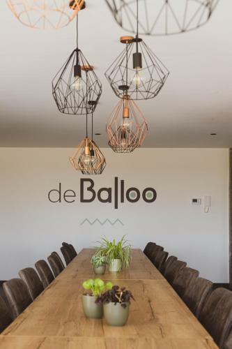 de Balloo, Vakantiehuis Met Sauna En Jacuzzi