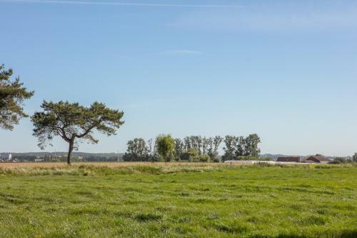 B&B Onzenhof